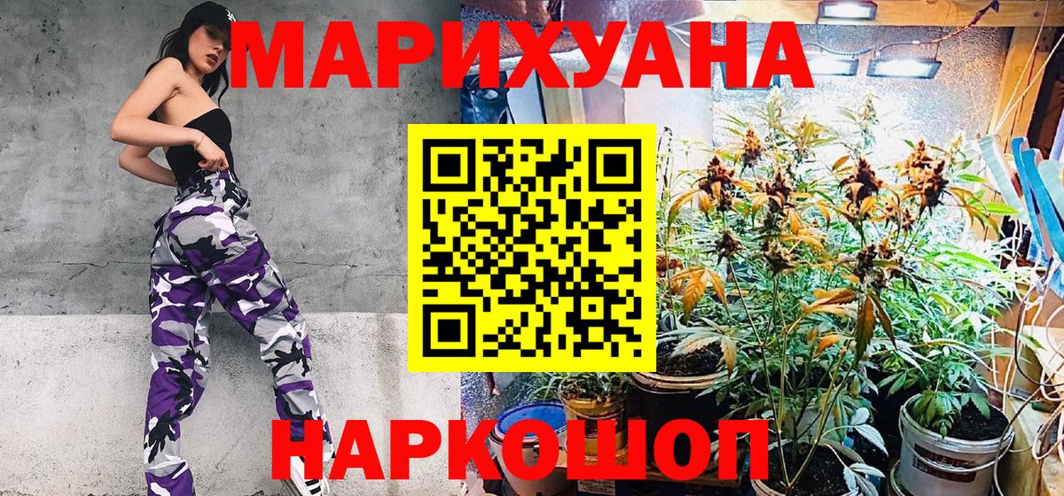 Марихуана планчик  Шишки марихуана OG Kush  Каннабис семена  Тельмана  Вход с VPN 